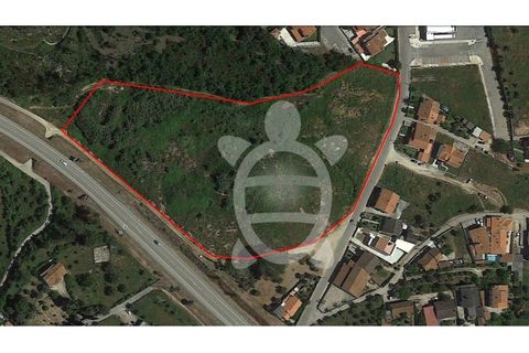 Helårsgrund i Condeixa-a-Nova, Coimbra, Condeixa-a-Nova - € 279.500 | Ref: cdx0038 - foto 7