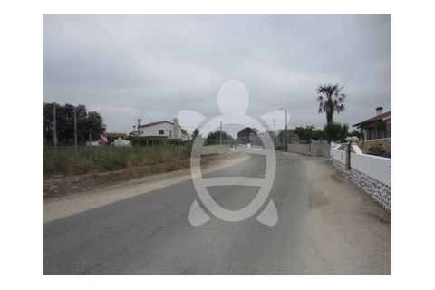 Helårsgrund i Condeixa-a-Nova, Coimbra, Condeixa-a-Nova - € 279.500 | Ref: cdx0038 - foto 9