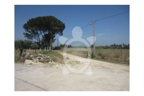 Helårsgrund i Condeixa-a-Nova, Coimbra, Condeixa-a-Nova - € 279.500 | Ref: cdx0038 - foto 10