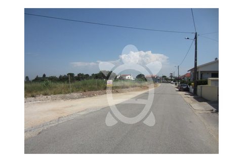 Helårsgrund i Condeixa-a-Nova, Coimbra, Condeixa-a-Nova - € 279.500 | Ref: cdx0038 - foto 11