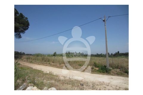 Helårsgrund i Condeixa-a-Nova, Coimbra, Condeixa-a-Nova - € 279.500 | Ref: cdx0038 - foto 12