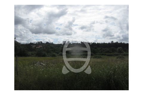 Helårsgrund i Assafarge e Antanhol, Coimbra, Assafarge e Antanhol - € 35.000 | Ref: cbr0505 - foto 2