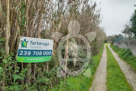 Helårsgrund i Assafarge e Antanhol, Coimbra, Assafarge e Antanhol - € 35.000 | Ref: cbr0505 - foto 4