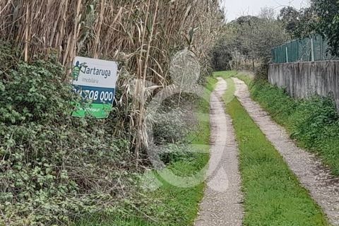 Helårsgrund i Assafarge e Antanhol, Coimbra, Assafarge e Antanhol - € 35.000 | Ref: cbr0505 - foto 5