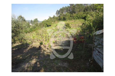 Helårsgrund i Coimbra, Coimbra, Coimbra - € 95.000 | Ref: cbr0323 - foto 2