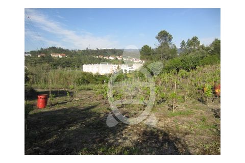 Helårsgrund i Coimbra, Coimbra, Coimbra - € 95.000 | Ref: cbr0323 - foto 3