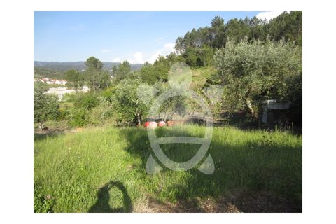 Helårsgrund i Coimbra, Coimbra, Coimbra - € 95.000 | Ref: cbr0323 - foto 4