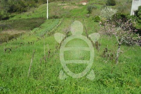 Helårsgrund i Coimbra, Coimbra, Coimbra - € 44.500 | Ref: cbr0288 - foto 2