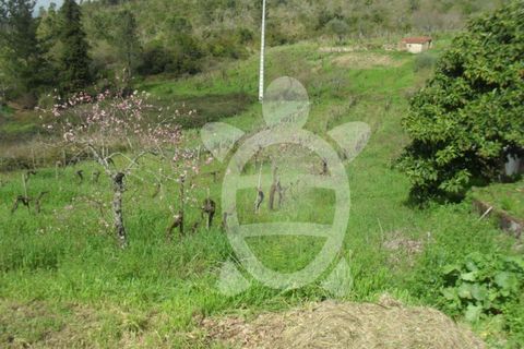 Helårsgrund i Coimbra, Coimbra, Coimbra - € 44.500 | Ref: cbr0288 - foto 4