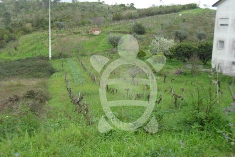 Helårsgrund i Coimbra, Coimbra, Coimbra - € 44.500 | Ref: cbr0288 - foto 5