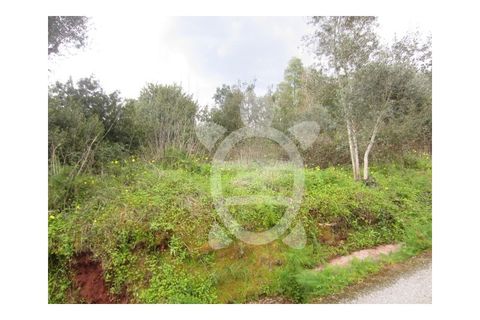 Helårsgrund i Coimbra, Coimbra, Coimbra - € 46.500 | Ref: cbr0278 - foto 2