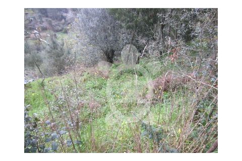 Helårsgrund i Coimbra, Coimbra, Coimbra - € 46.500 | Ref: cbr0278 - foto 4