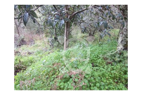Helårsgrund i Coimbra, Coimbra, Coimbra - € 46.500 | Ref: cbr0278 - foto 5