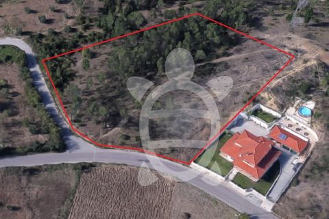 Terra a Cernache, Coimbra, Cernache - € 200.000 | Ref: cbr0201 - foto 2