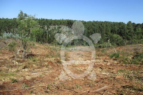 Helårsgrund i Assafarge e Antanhol, Coimbra, Assafarge e Antanhol - € 109.500 | Ref: cbr0162 - foto 2