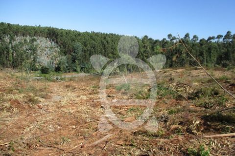 Helårsgrund i Assafarge e Antanhol, Coimbra, Assafarge e Antanhol - € 109.500 | Ref: cbr0162 - foto 4