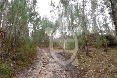 Helårsgrund i Assafarge e Antanhol, Coimbra, Assafarge e Antanhol - € 109.500 | Ref: cbr0162 - foto 7