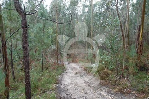 Helårsgrund i Assafarge e Antanhol, Coimbra, Assafarge e Antanhol - € 109.500 | Ref: cbr0162 - foto 9