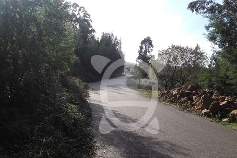 Helårsgrund i Assafarge e Antanhol, Coimbra, Assafarge e Antanhol - € 109.500 | Ref: cbr0162 - foto 10