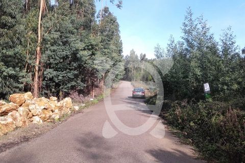 Helårsgrund i Assafarge e Antanhol, Coimbra, Assafarge e Antanhol - € 109.500 | Ref: cbr0162 - foto 11