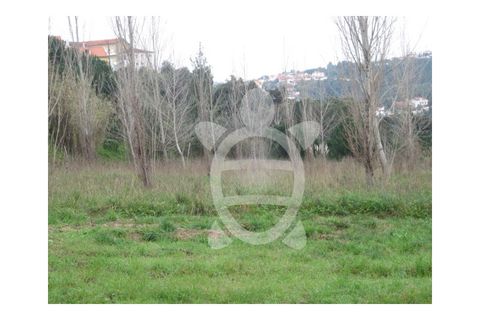 Helårsgrund i Coimbra, Coimbra, Coimbra - € 480.000 | Ref: cbr0082 - foto 7