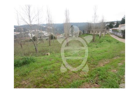 Helårsgrund i Coimbra, Coimbra, Coimbra - € 480.000 | Ref: cbr0082 - foto 9