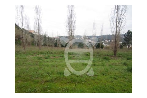 Helårsgrund i Coimbra, Coimbra, Coimbra - € 480.000 | Ref: cbr0082 - foto 14