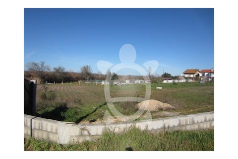 Helårsgrund i Coimbra, Coimbra, Coimbra - € 100.000 | Ref: 17-5176 - foto 2