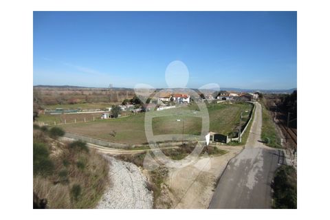 Helårsgrund i Coimbra, Coimbra, Coimbra - € 100.000 | Ref: 17-5176 - foto 3