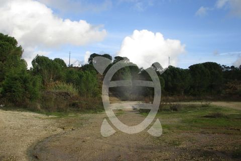 Grond in Cernache, Coimbra, Cernache - € 140.000 | Ref: 17-5112 - foto 4