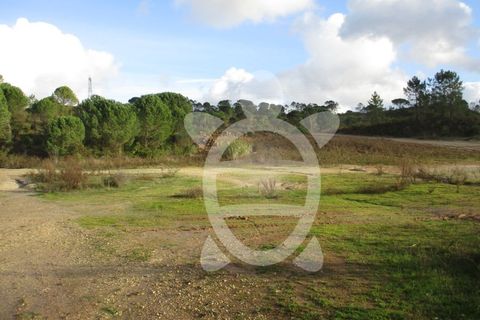 Grond in Cernache, Coimbra, Cernache - € 140.000 | Ref: 17-5112 - foto 2