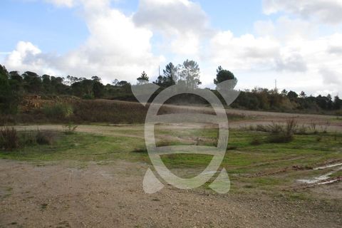 Grond in Cernache, Coimbra, Cernache - € 140.000 | Ref: 17-5112 - foto 5