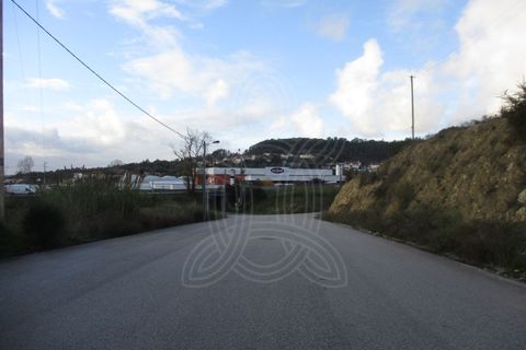 Grond in Cernache, Coimbra, Cernache - € 140.000 | Ref: 17-5112 - foto 6