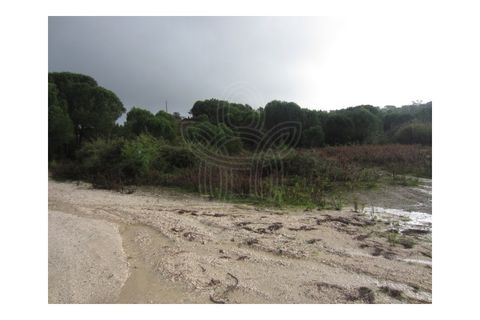 Grond in Cernache, Coimbra, Cernache - € 140.000 | Ref: 17-5112 - foto 7