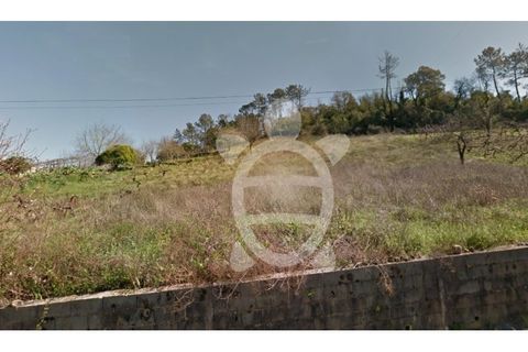 Helårsgrund i Assafarge e Antanhol, Coimbra, Assafarge e Antanhol - € 59.000 | Ref: 17-4913 - foto 4