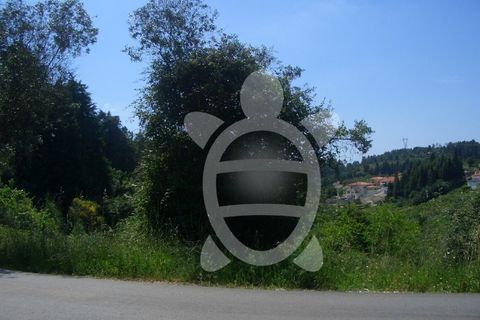 Terra a Assafarge e Antanhol, Coimbra, Assafarge e Antanhol - € 260.000 | Ref: 17-3187 - foto 2