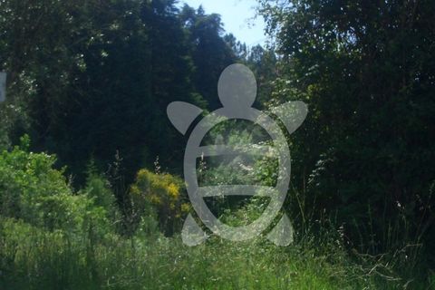 Terra a Assafarge e Antanhol, Coimbra, Assafarge e Antanhol - € 260.000 | Ref: 17-3187 - foto 3