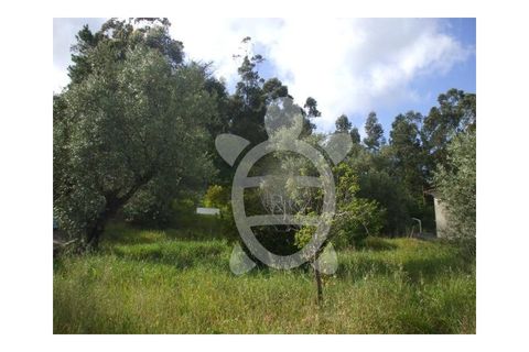 Terra a Cernache, Coimbra, Cernache - € 56.200 | Ref: 17-2084 - foto 3