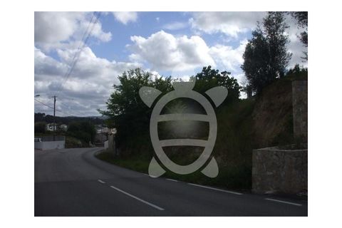 Terra a Cernache, Coimbra, Cernache - € 56.200 | Ref: 17-2084 - foto 5