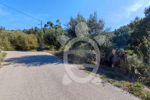 Tomt i Ceira, Coimbra, Ceira - € 54 500 | Ref: 17-347 - foto 2