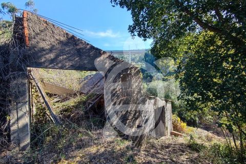 Tomt i Ceira, Coimbra, Ceira - € 54 500 | Ref: 17-347 - foto 3