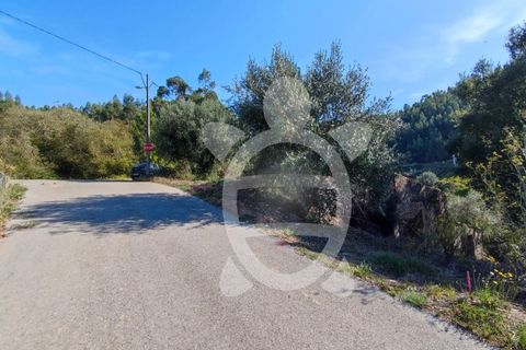 Tomt i Ceira, Coimbra, Ceira - € 54 500 | Ref: 17-347 - foto 5