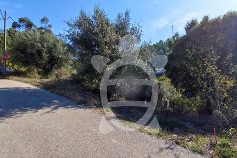 Tomt i Ceira, Coimbra, Ceira - € 54 500 | Ref: 17-347 - foto 6