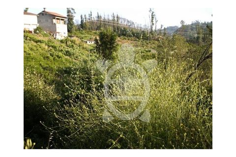 Tomt i Ceira, Coimbra, Ceira - € 54 500 | Ref: 17-347 - foto 9