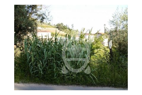 Tomt i Ceira, Coimbra, Ceira - € 54 500 | Ref: 17-347 - foto 10