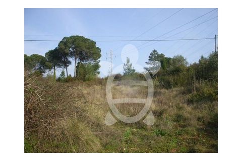 Helårsgrund i Assafarge e Antanhol, Coimbra, Assafarge e Antanhol - € 249.500 | Ref: 17-1992 - foto 2