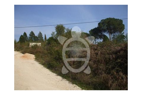 Helårsgrund i Assafarge e Antanhol, Coimbra, Assafarge e Antanhol - € 249.500 | Ref: 17-1992 - foto 3