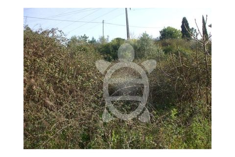 Helårsgrund i Assafarge e Antanhol, Coimbra, Assafarge e Antanhol - € 249.500 | Ref: 17-1992 - foto 5