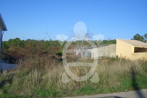 Helårsgrund i Cernache, Coimbra, Cernache - € 47.500 | Ref: 17-3553 - foto 3