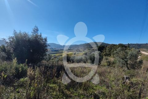 Helårsgrund i Coimbra, Coimbra, Coimbra - € 34.000 | Ref: 17-2163 - foto 3